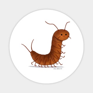 Brown Centipede Magnet